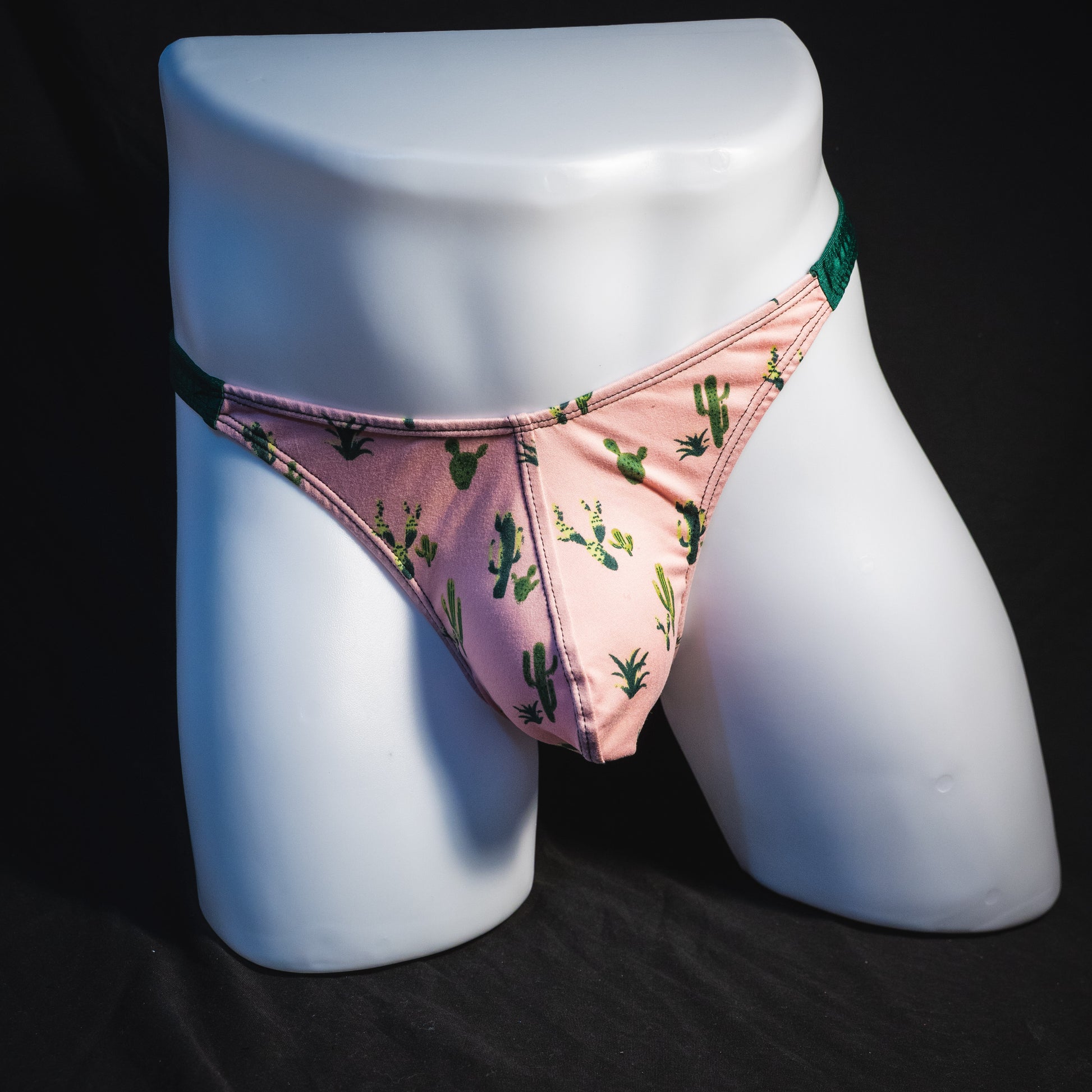 Men's Sonoran desert thong underwear, classic cut, full front view.