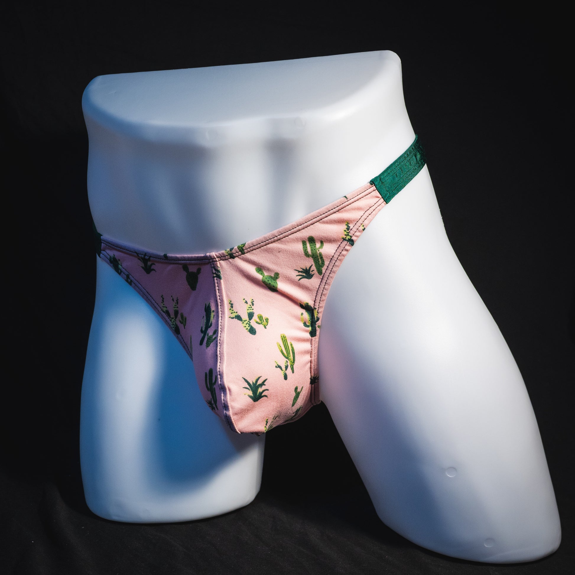 Men's Sonoran desert thong underwear, classic cut, full angled view.