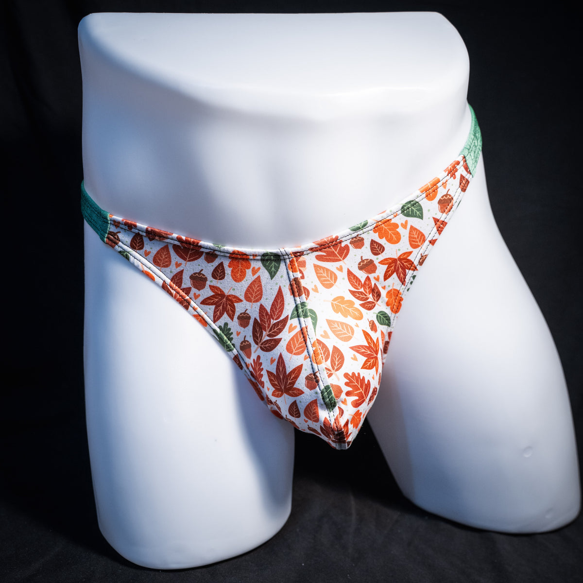 Men's autumn themed thong underwear, classic cut, front view.