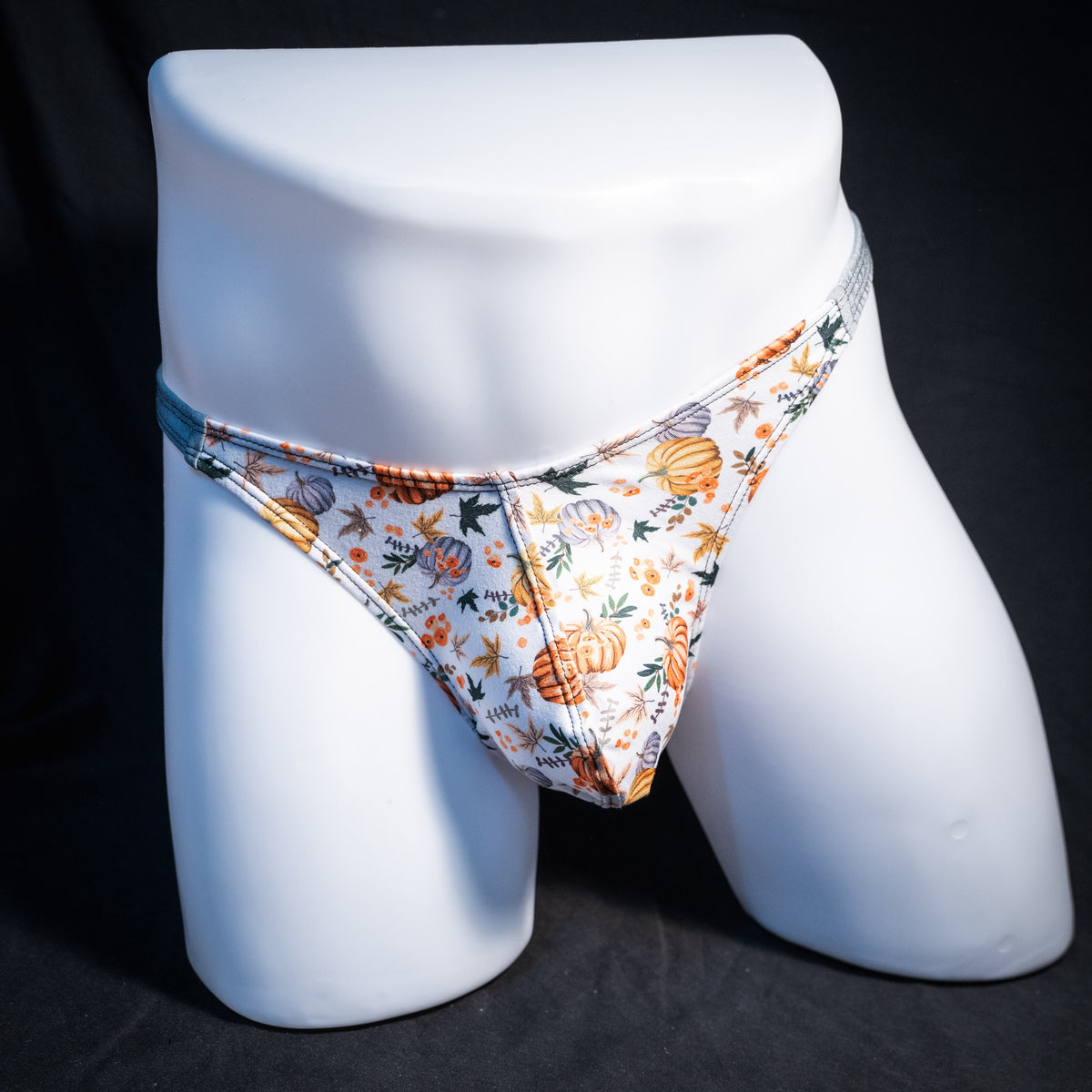 Men's autumn themed thong underwear, classic cut, front view.