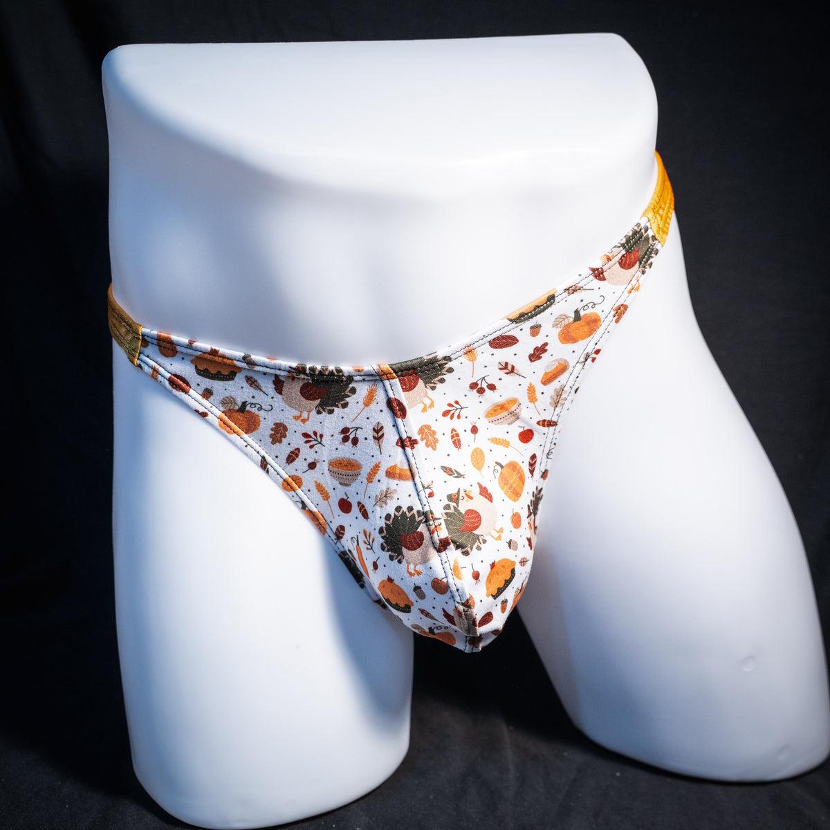 Men's Thanksgiving themed thong underwear, classic cut, front view.