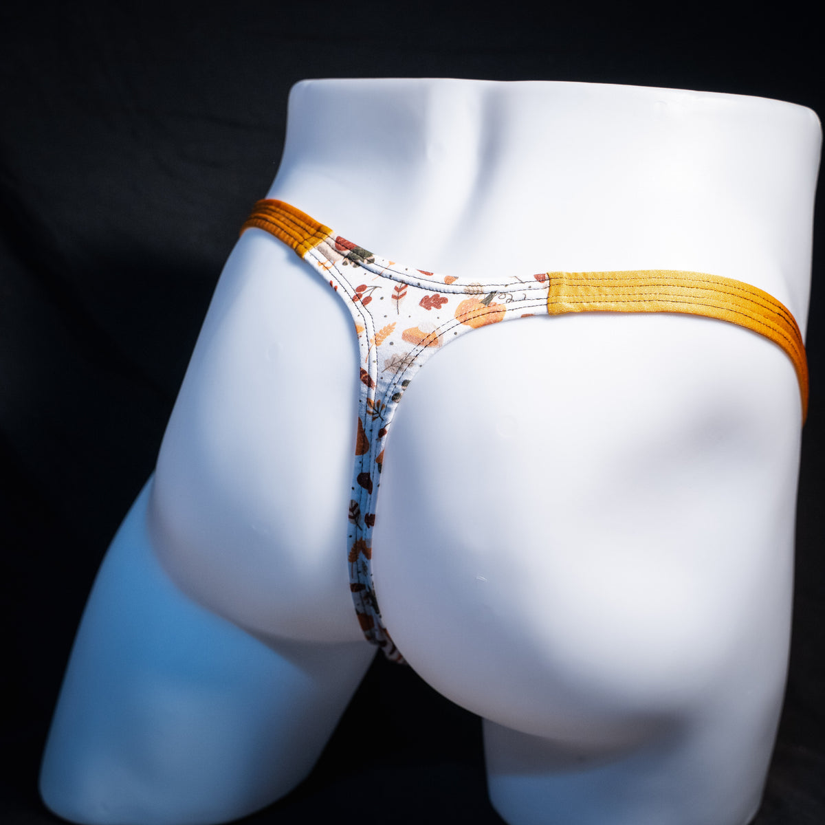 Men's Thanksgiving themed thong underwear, classic cut, rear view.