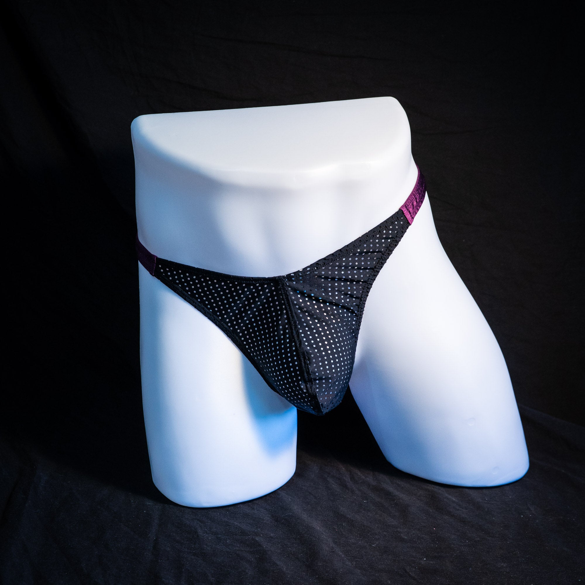Men's mesh and plum purple thong underwear, classic cut, full front view.